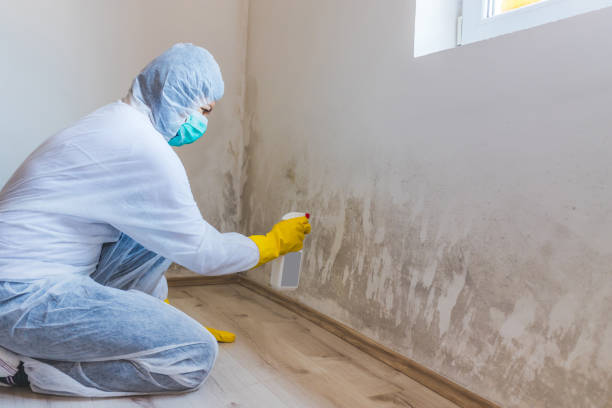 Bathroom Mold Removal assessment in Tolleson bathroom